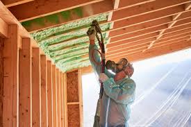 Best Radiant Barrier Insulation  in Lacoste, TX